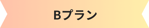 プラン料金例